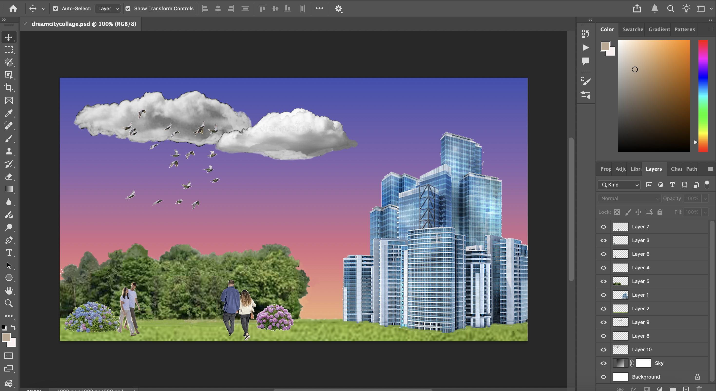 Midterm Project